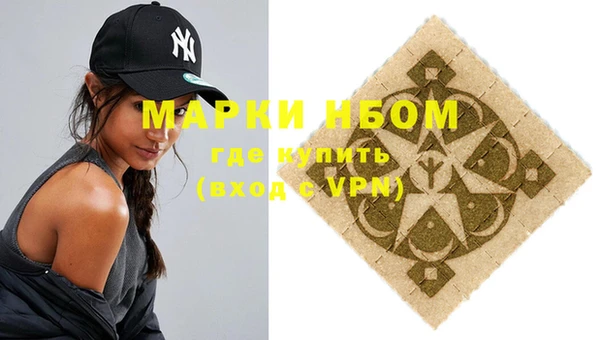 гашик Верея