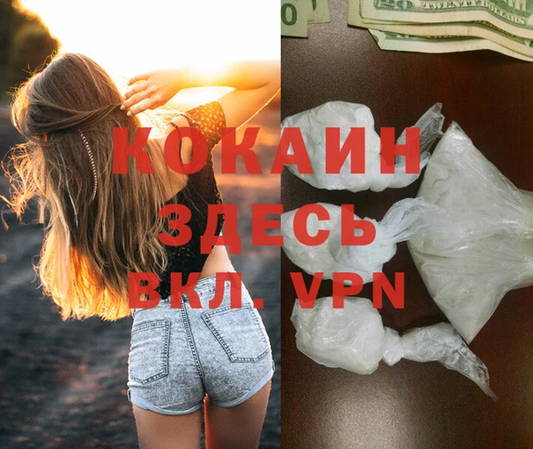 гашик Верея