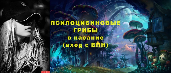 бошки Володарск