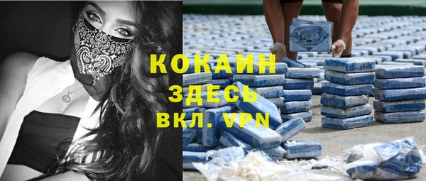гашик Верея