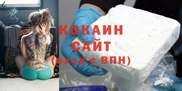 гашик Верея